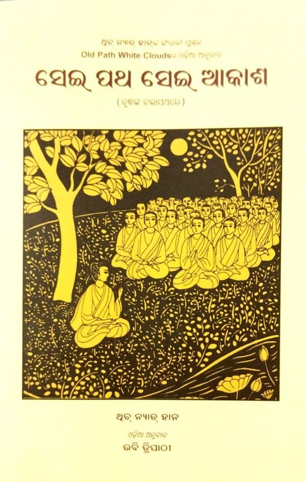 Sei Patha Sei Akash1 Sei Patha Sei Akash