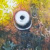 Acharanare Srijagannath Vol-1