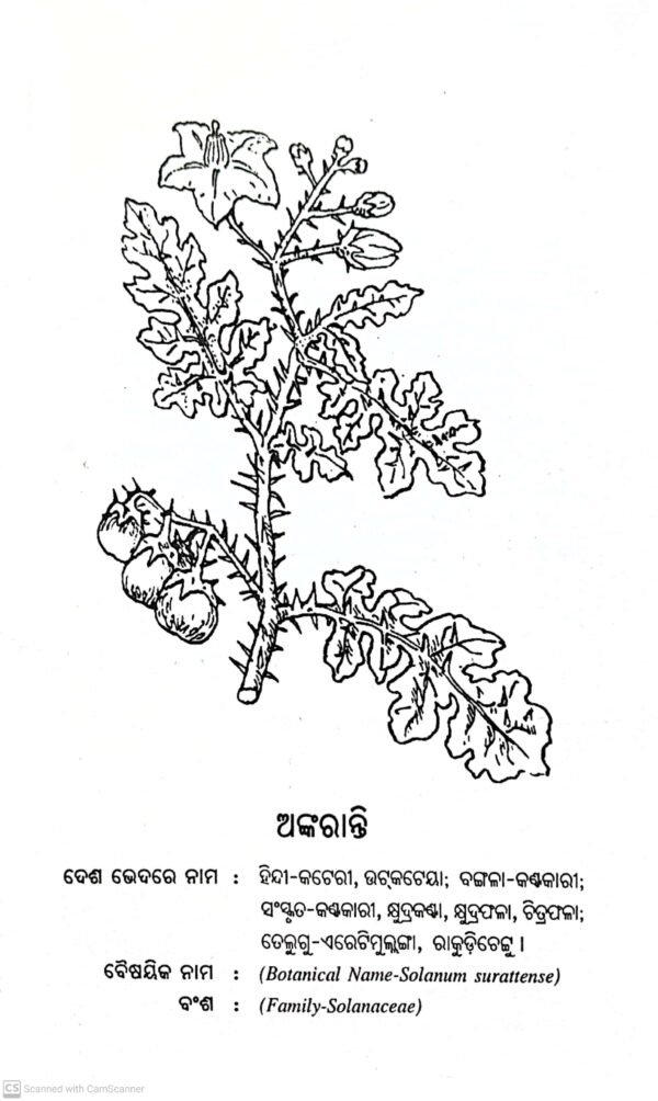 Brukshyalatara Ausadhiguna