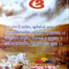 Srimad Bhagabad Geeta (Small)