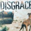 Disgrace
