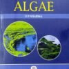 Fundamentals Of Algae 3ed