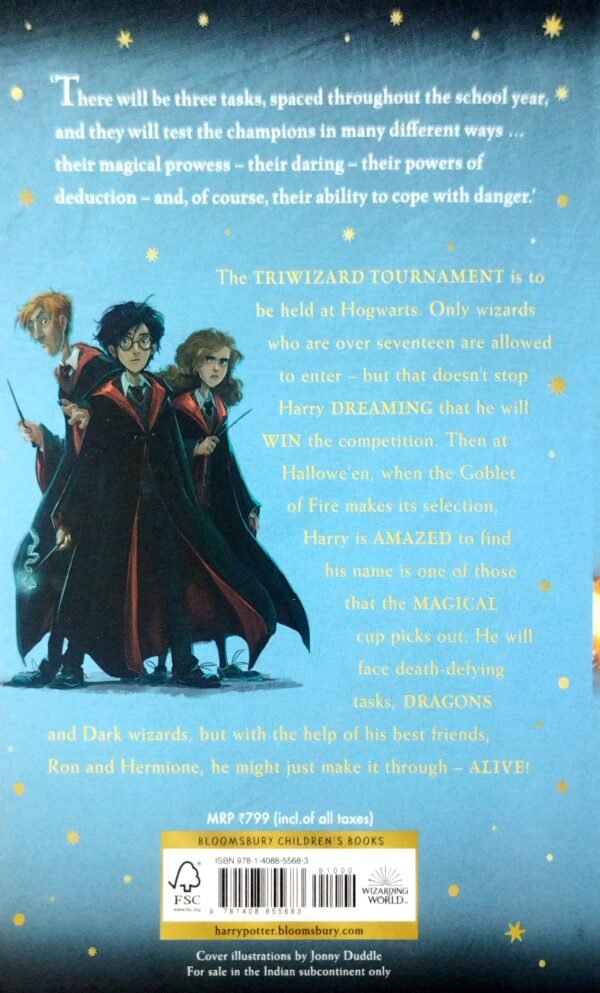 Harry Potter and the Globet of Fire - 4