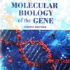 Molecular Biology Of The Gene 8ed1 Molecular Biology Of The Gene 8ed