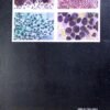 Practical Pathology