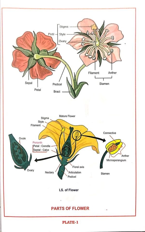 Complete Biology For Class-XII Chse & Cbse