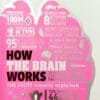 How The Brain Works