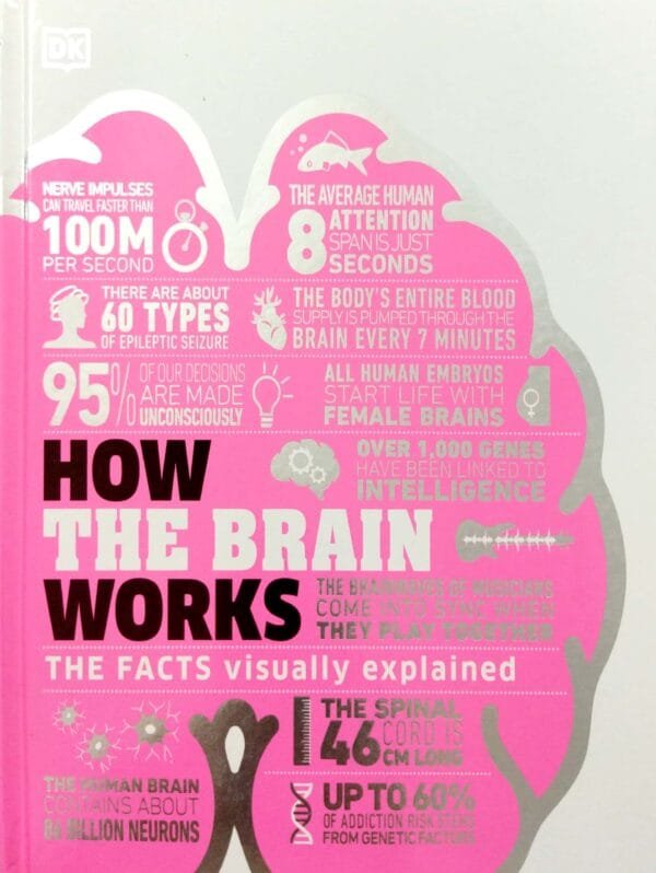 How The Brain Works