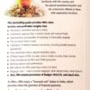 In The Wonderland Of Investment For Nris 25ed