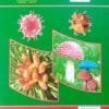 Introductory Botany Class-XI C.h.s.e. Odisha