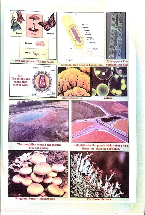 Moderns Abc Of +2 Botany Class-XI Vol-1 +2 First Year2 Moderns Abc Of +2 Botany Class-XI Vol-1 +2 First Year