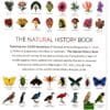 The Natural History Book