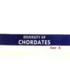 Diversity Of Chordates Core-II Nep