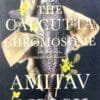The Calcutta Chromosome
