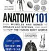 Anatomy 101