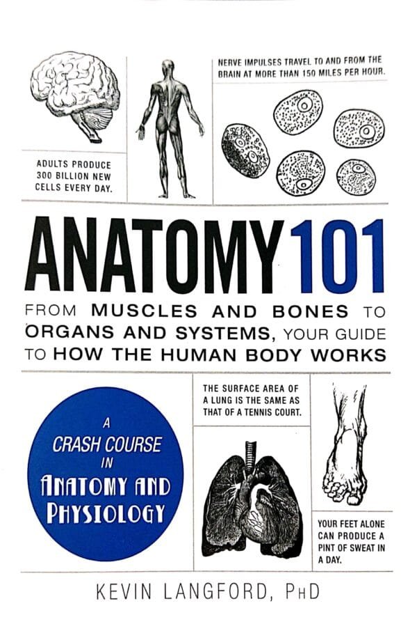 Anatomy 101