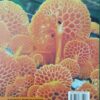 A Text Book Of Botany 5ed