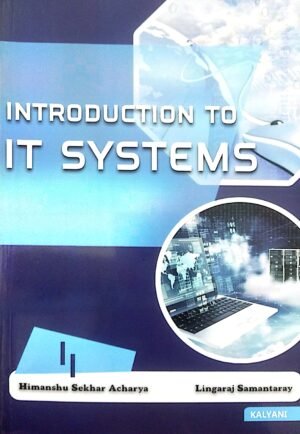 Introduction To It Systems